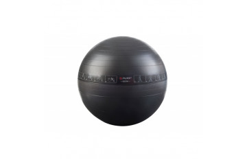Гимнаст. мяч 65 Trainer Ball Sport Performance