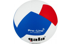 Мяч вол. 'GALA Pro-Line 12', р.5